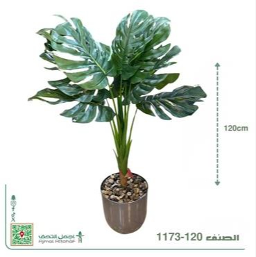   1173-120شجر 