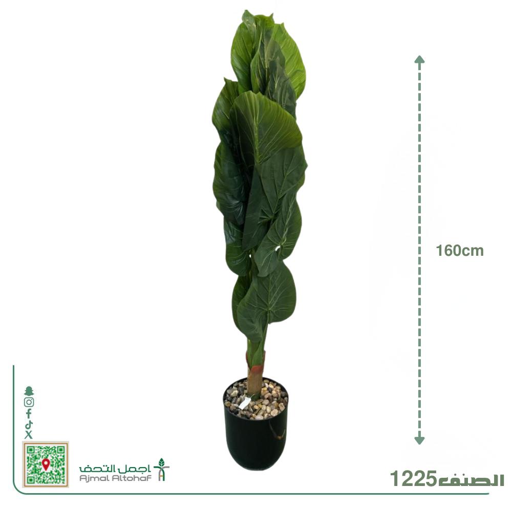   1225 شجرة الألوكاسيا (Alocasia)  اوا شجرة أذن الفيل الصناعية العمودية.بأرتفاع160سم 
