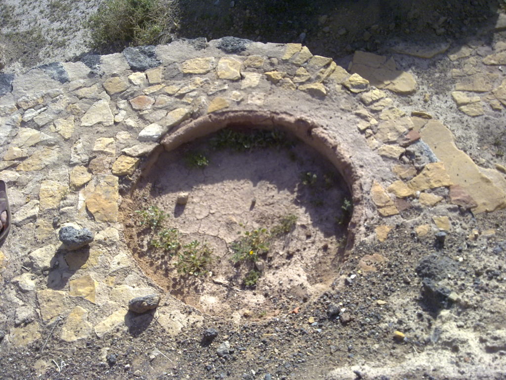 رحلة حائل وفيد