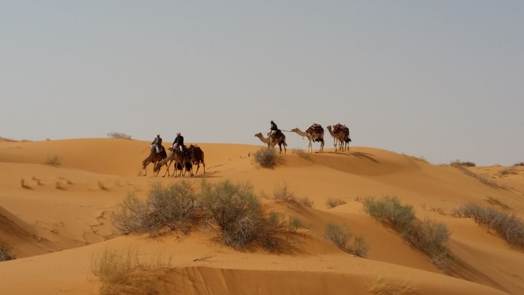 جولة حائل وجوبة