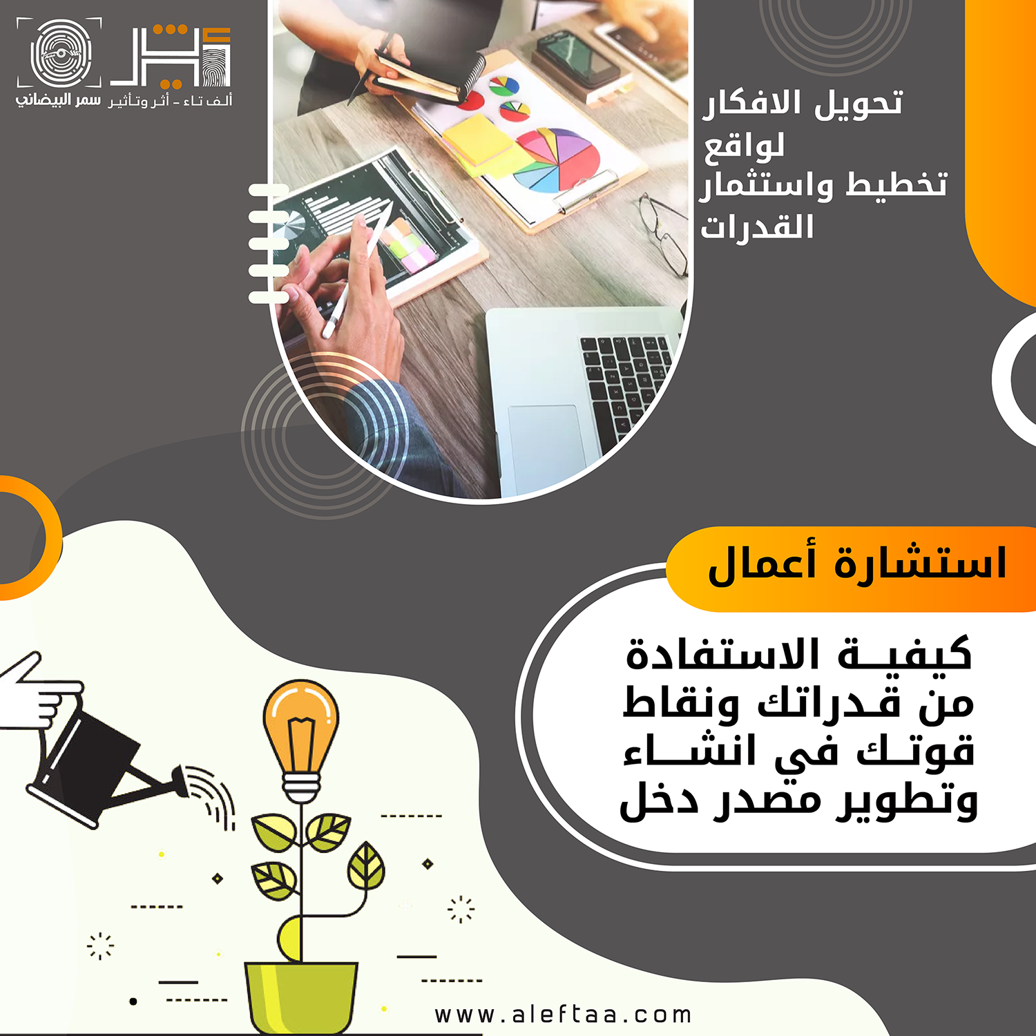 استشارة الاعمال
