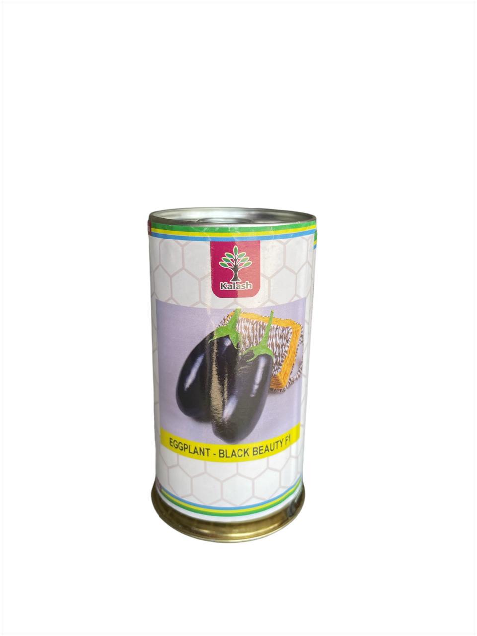 بذور باذنجان اسود طويل