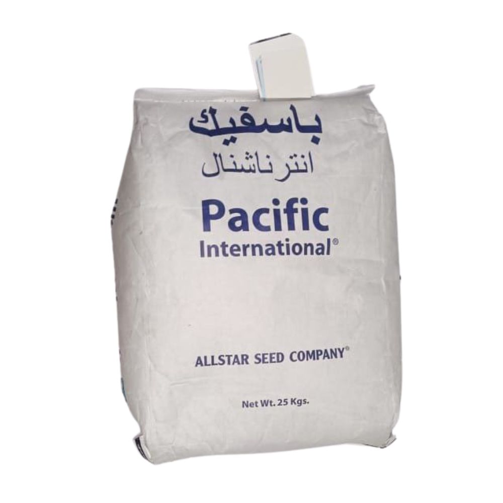 بذور برسيم امريكي