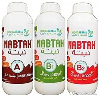 نبتة B1+ B2+A