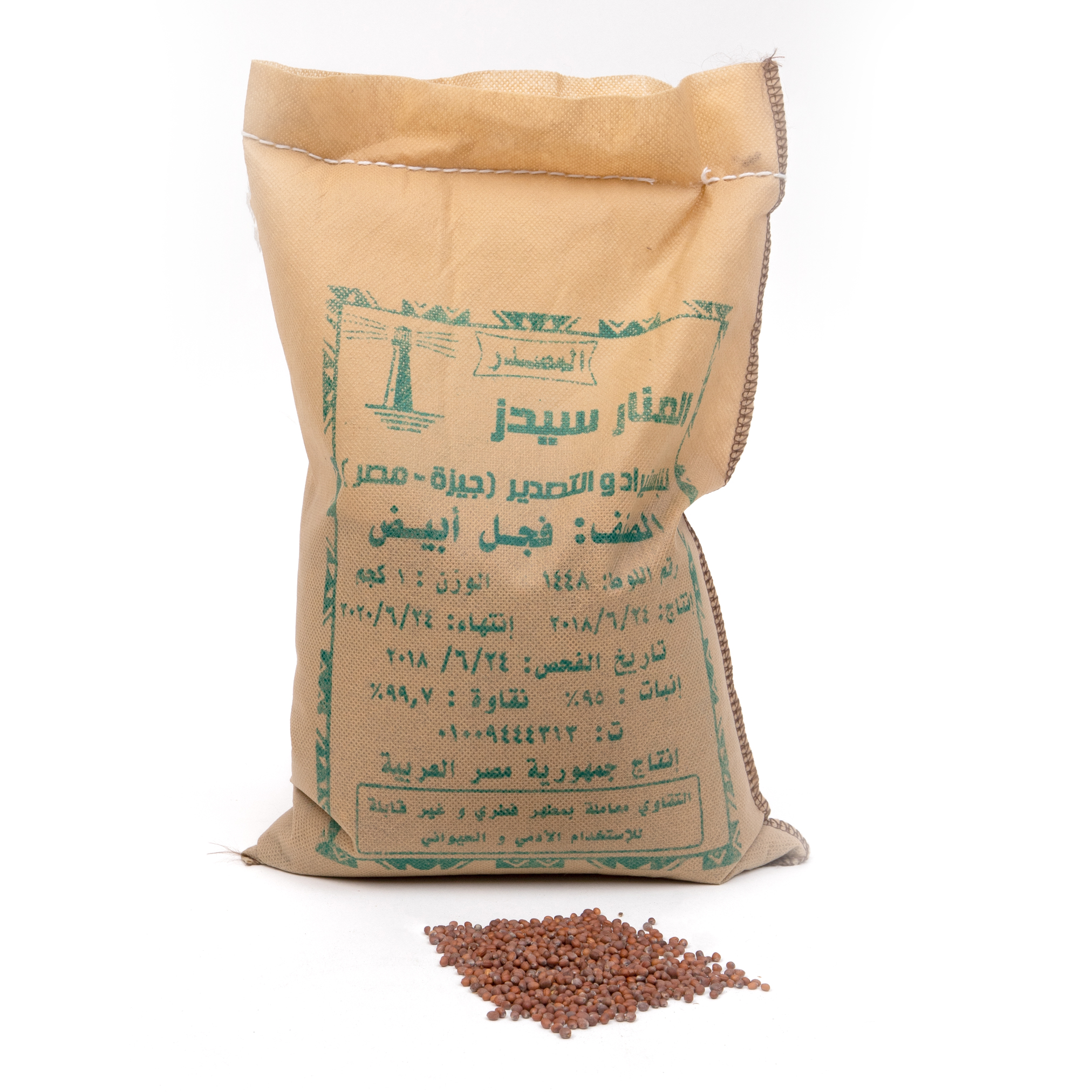 بذر فجل