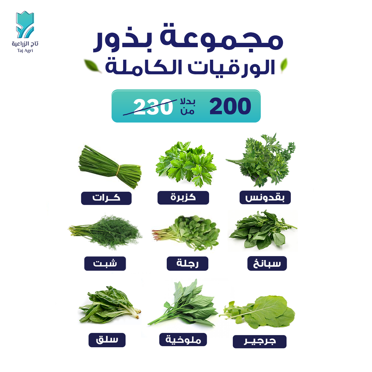 مجموعة بذور ورقيات