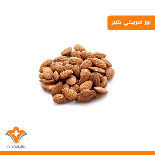 لوز امريكي كبير