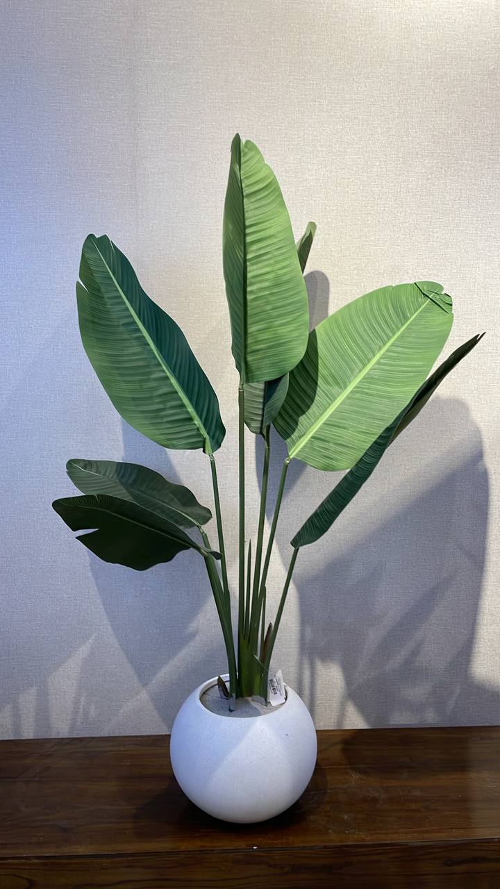 شجرة موز 1.2