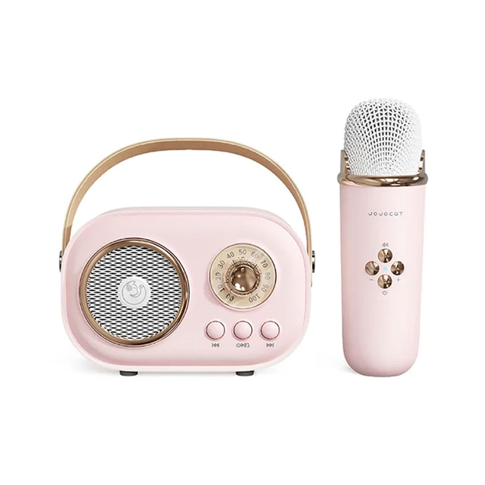 C20Plus New Mic