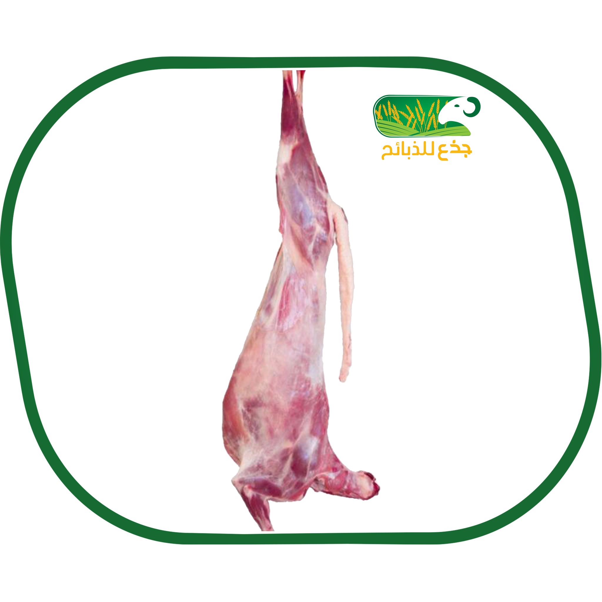 جذع سواكني - تقطيع ثلاجة