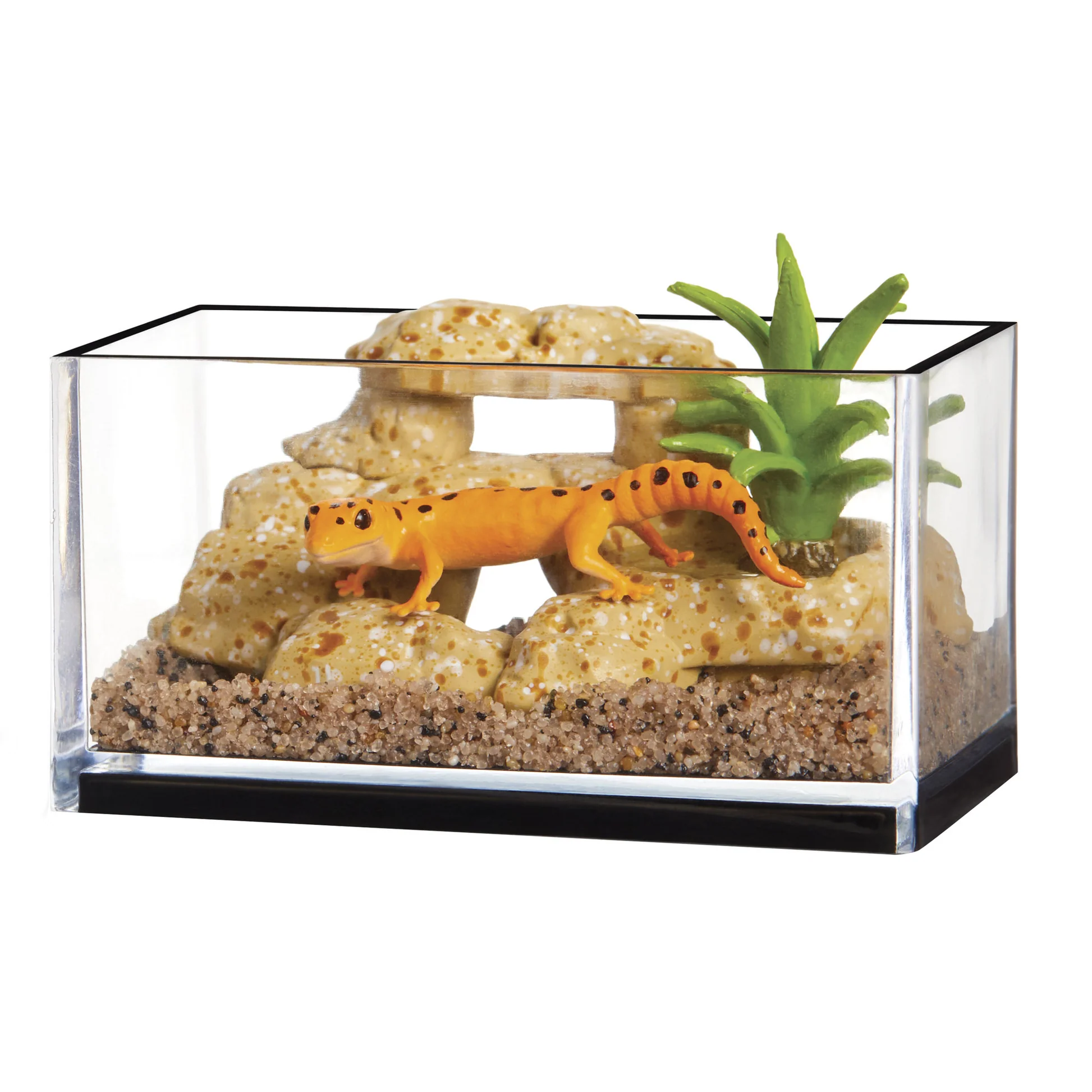 Small fish tank with animals
