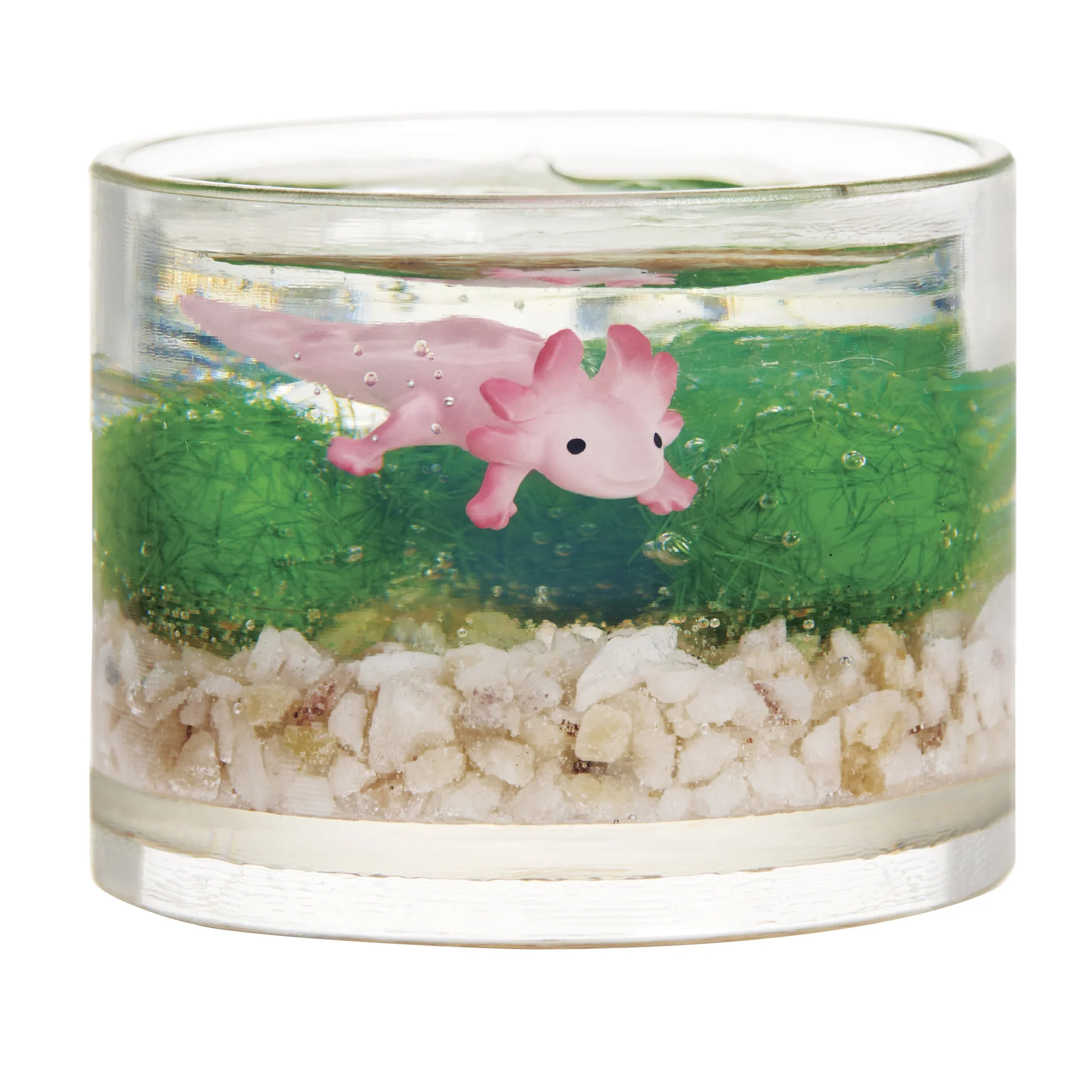 Terrarium for small hedgehogs