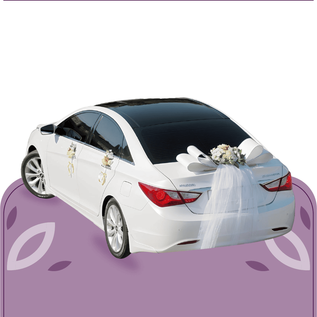 تشريع سيارات