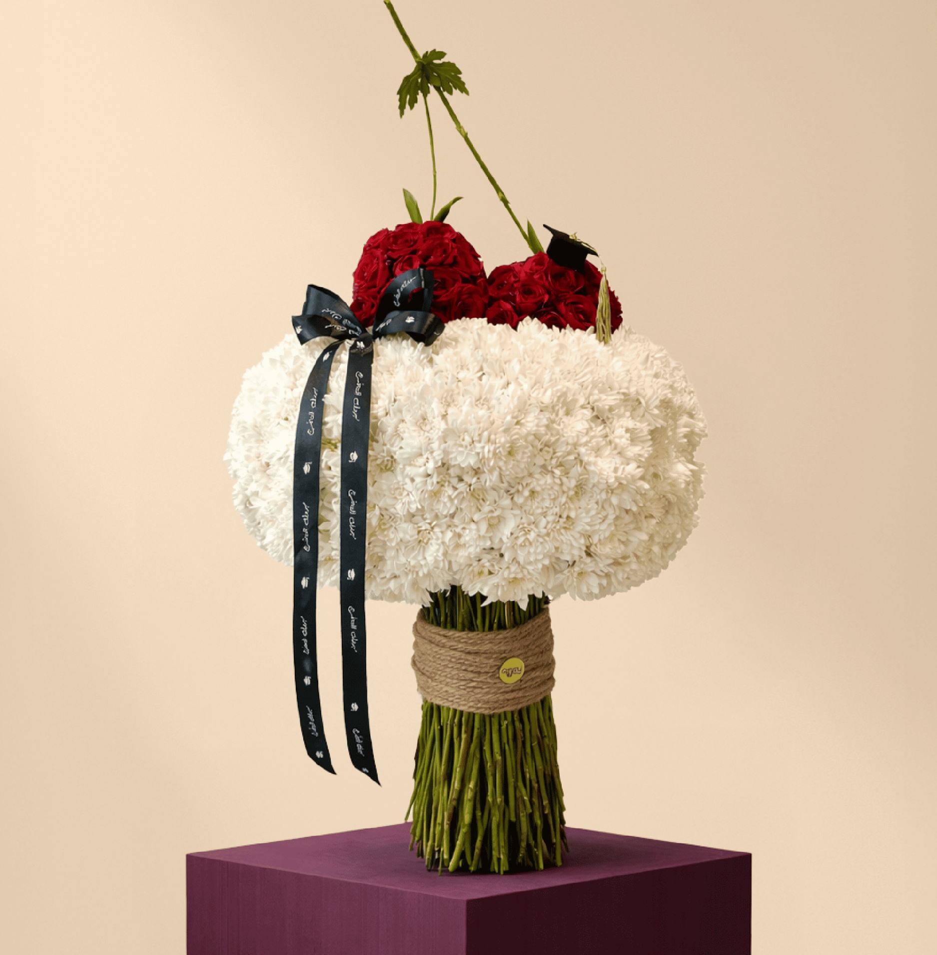يوم الميلاد