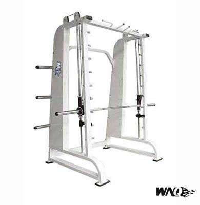 Strength training machine with chrome arm and safety rail