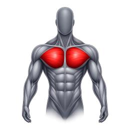Chest Training Machines