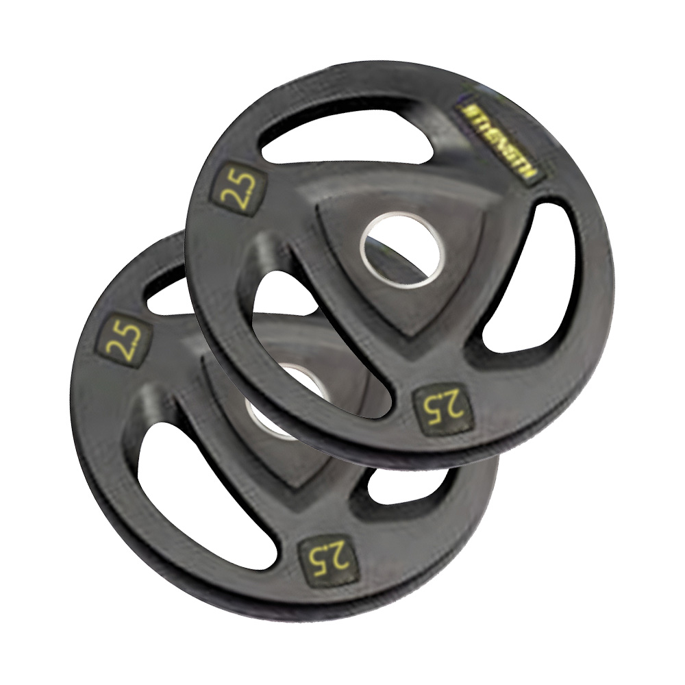 Pair of 2.5 KG weight plates for gym and home training