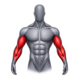 Arm Training Machines
