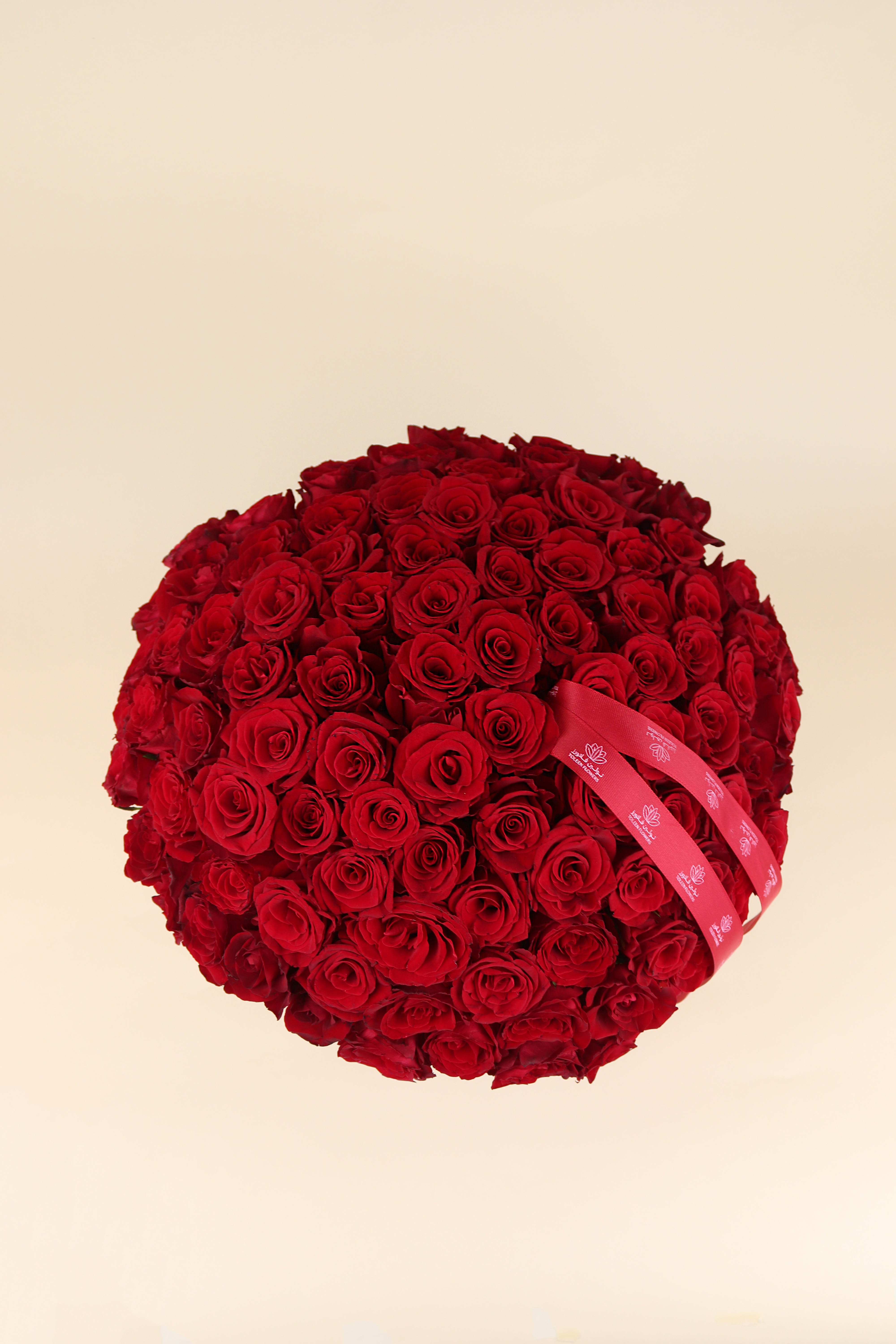  فازة 100 روز أحمر 