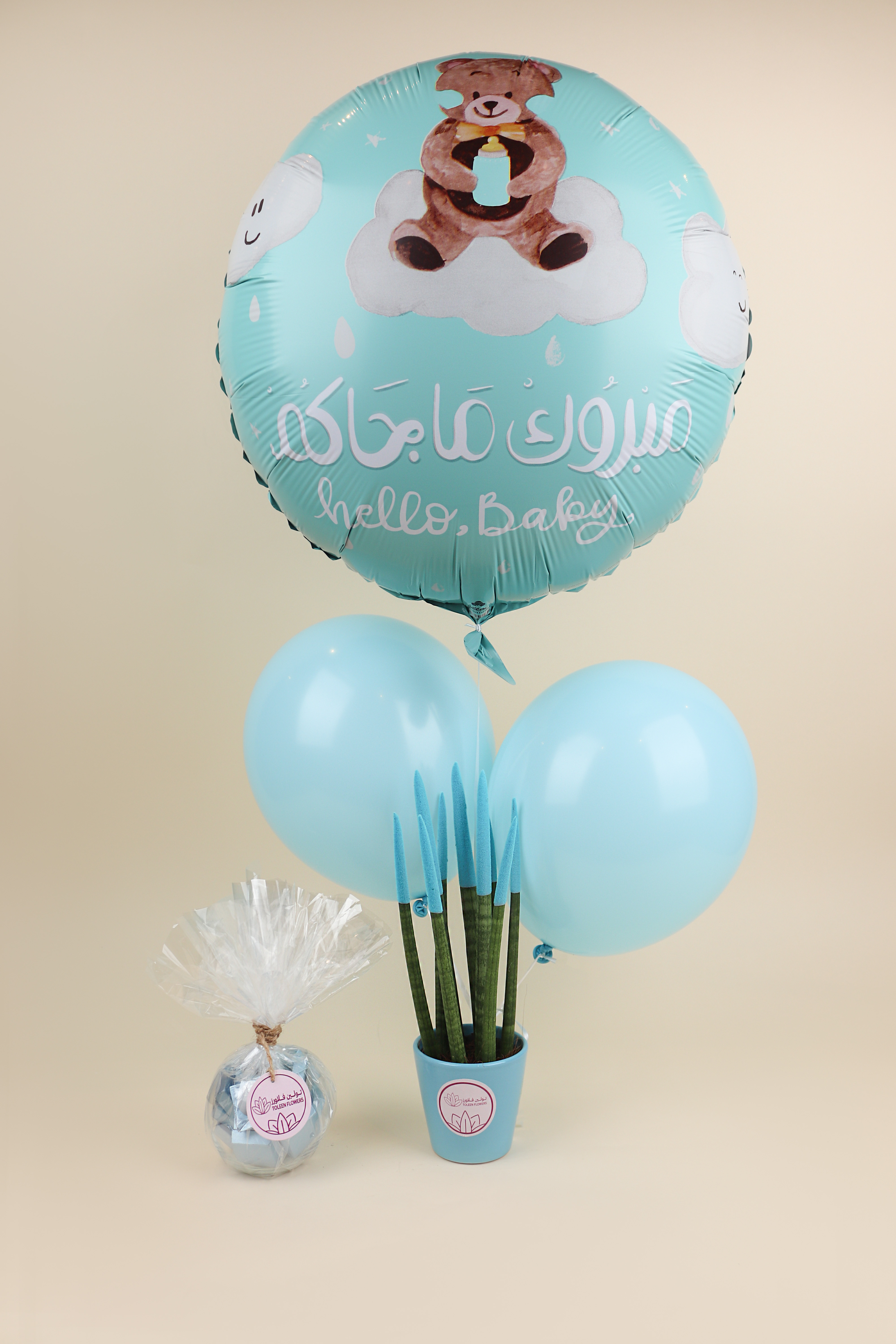  نبتة صبار 