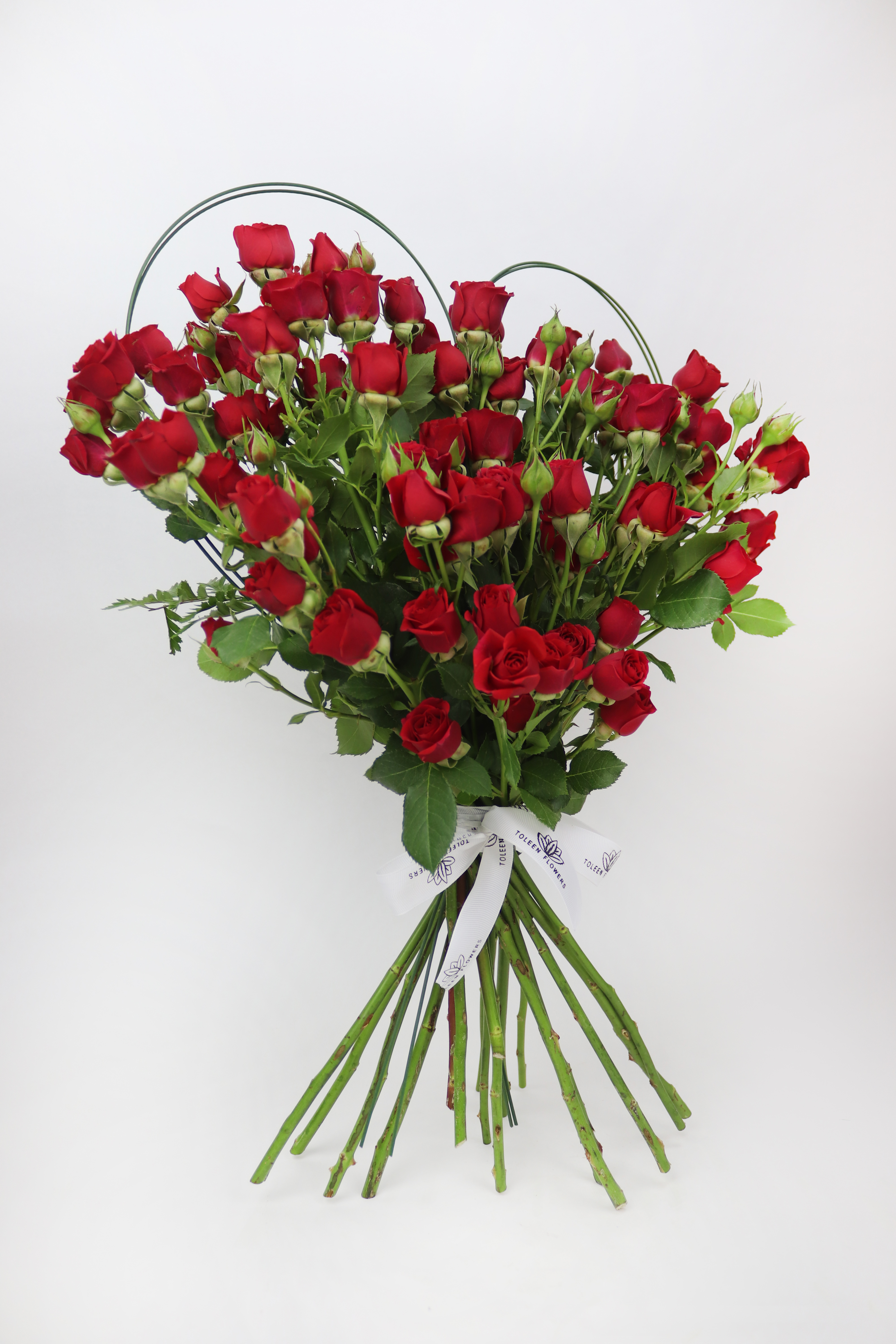  القلب الأحمر 
