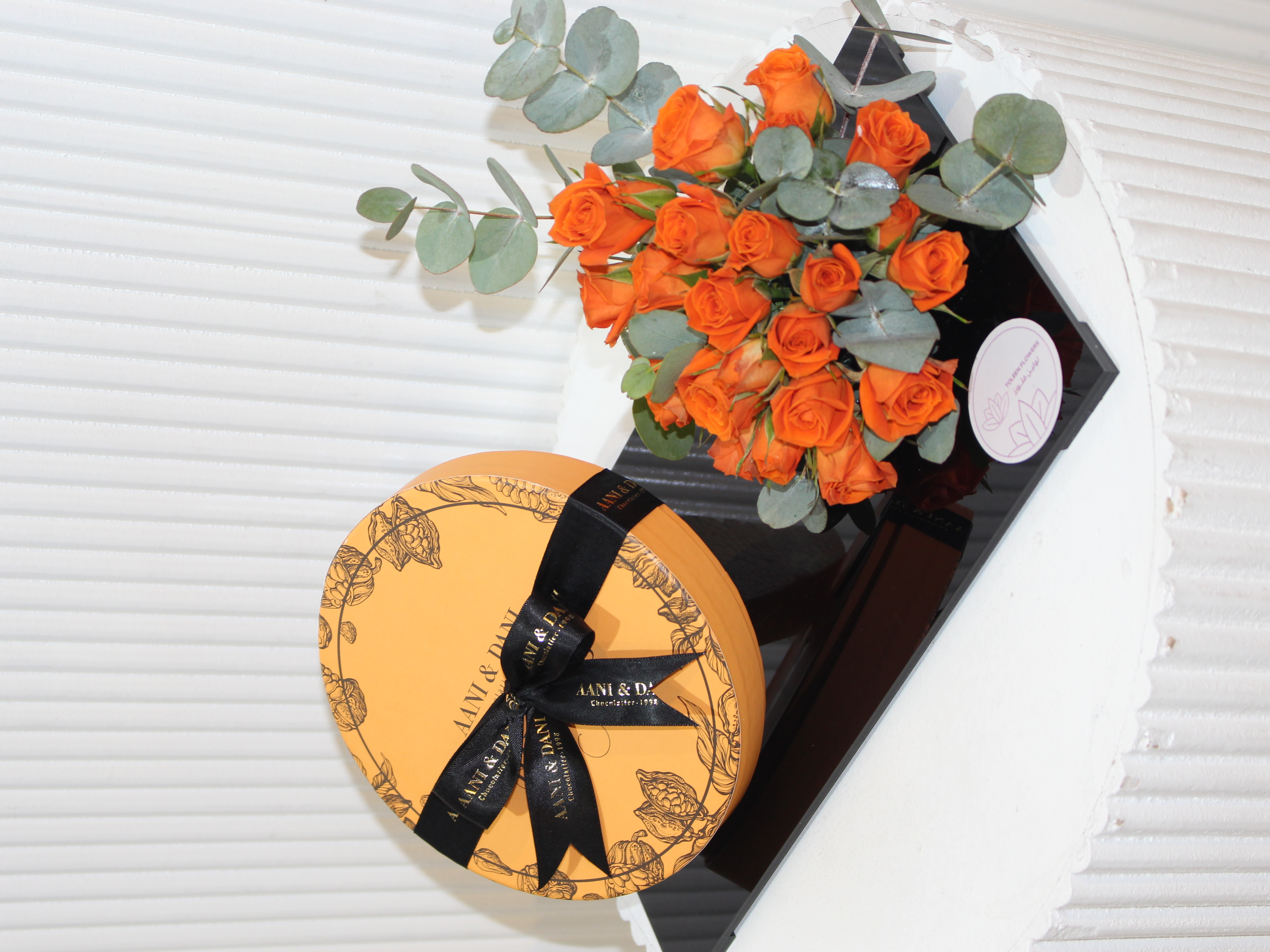  شوكلت آني وداني 