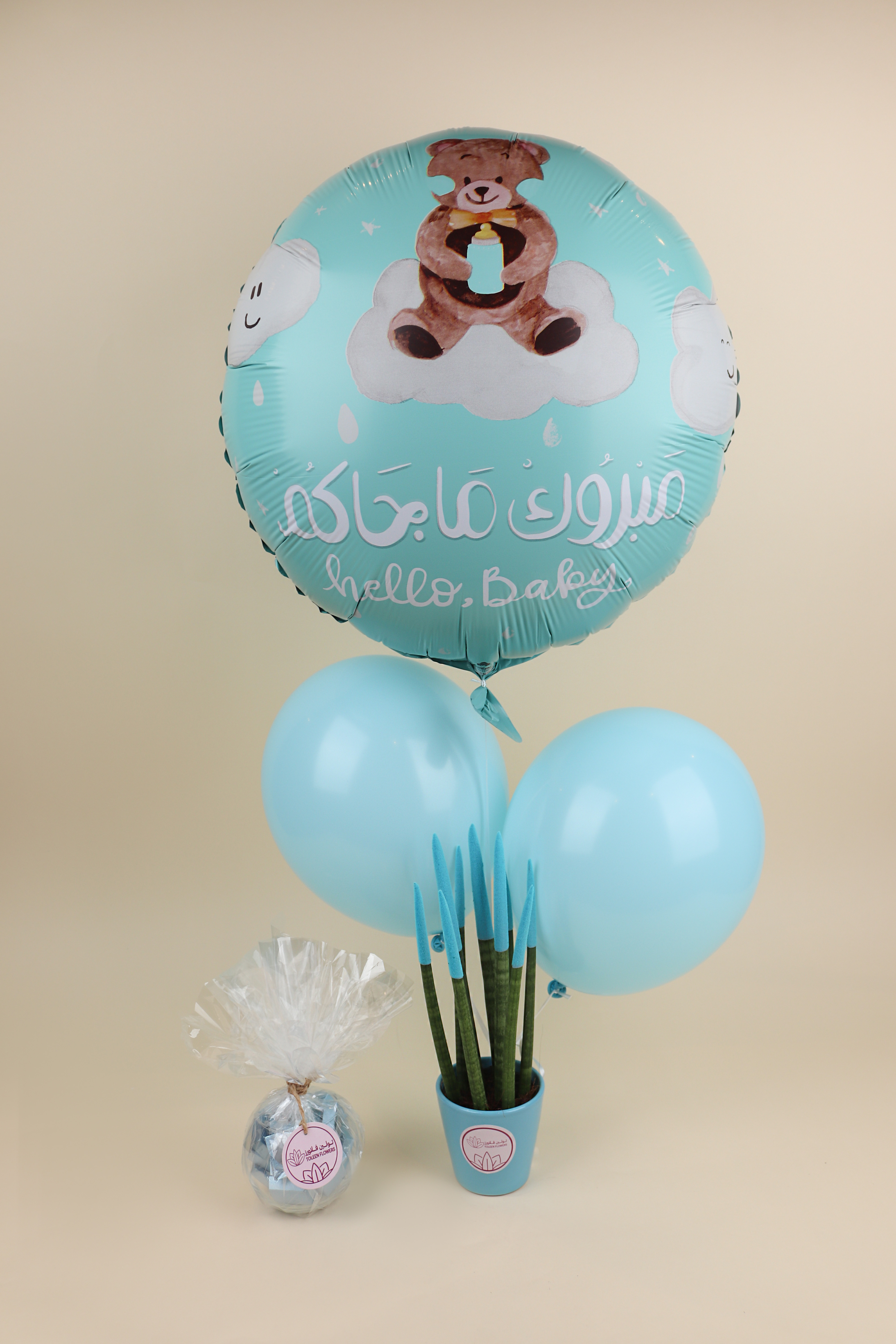  نبتة صبار 
