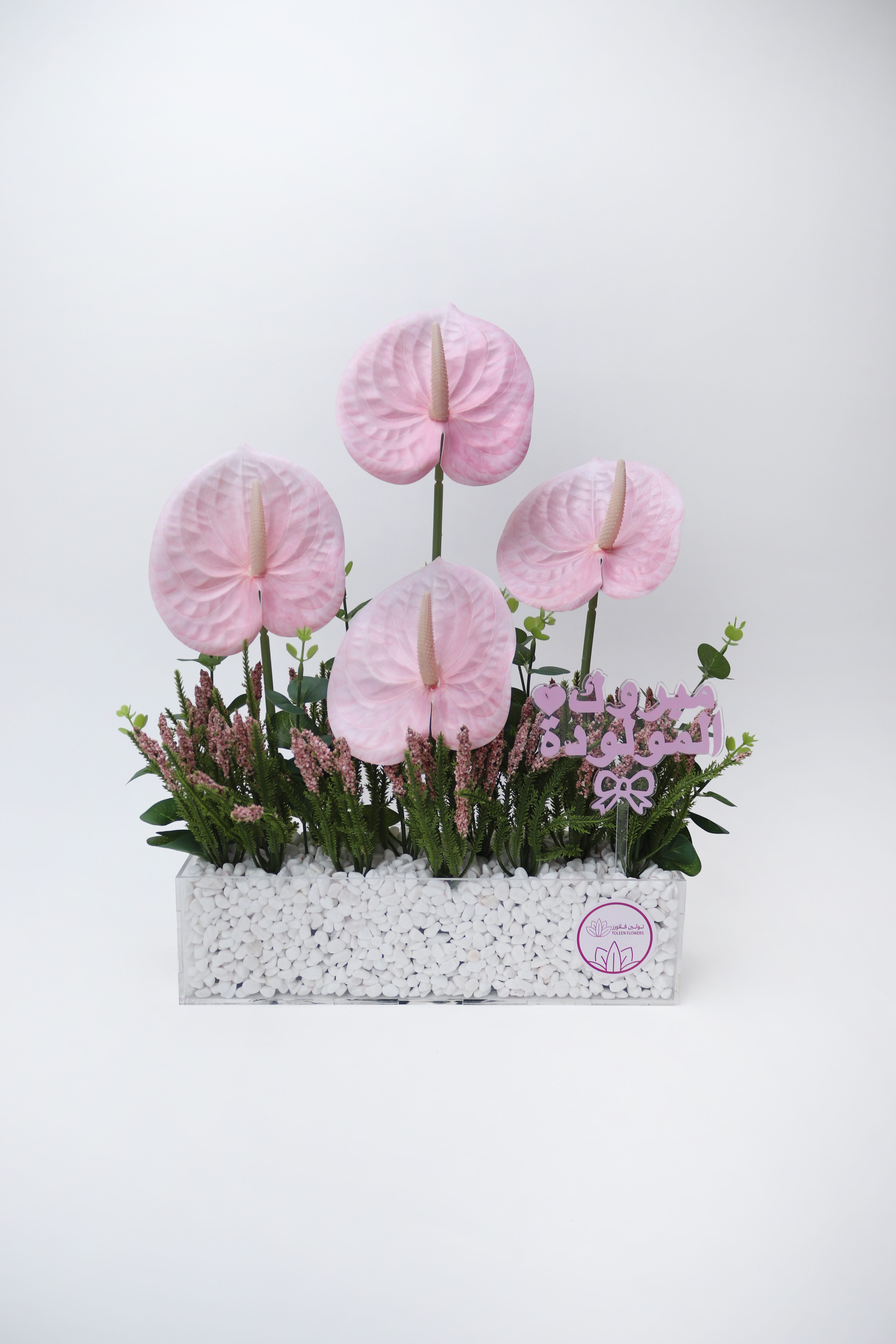  مبروك المولودة 