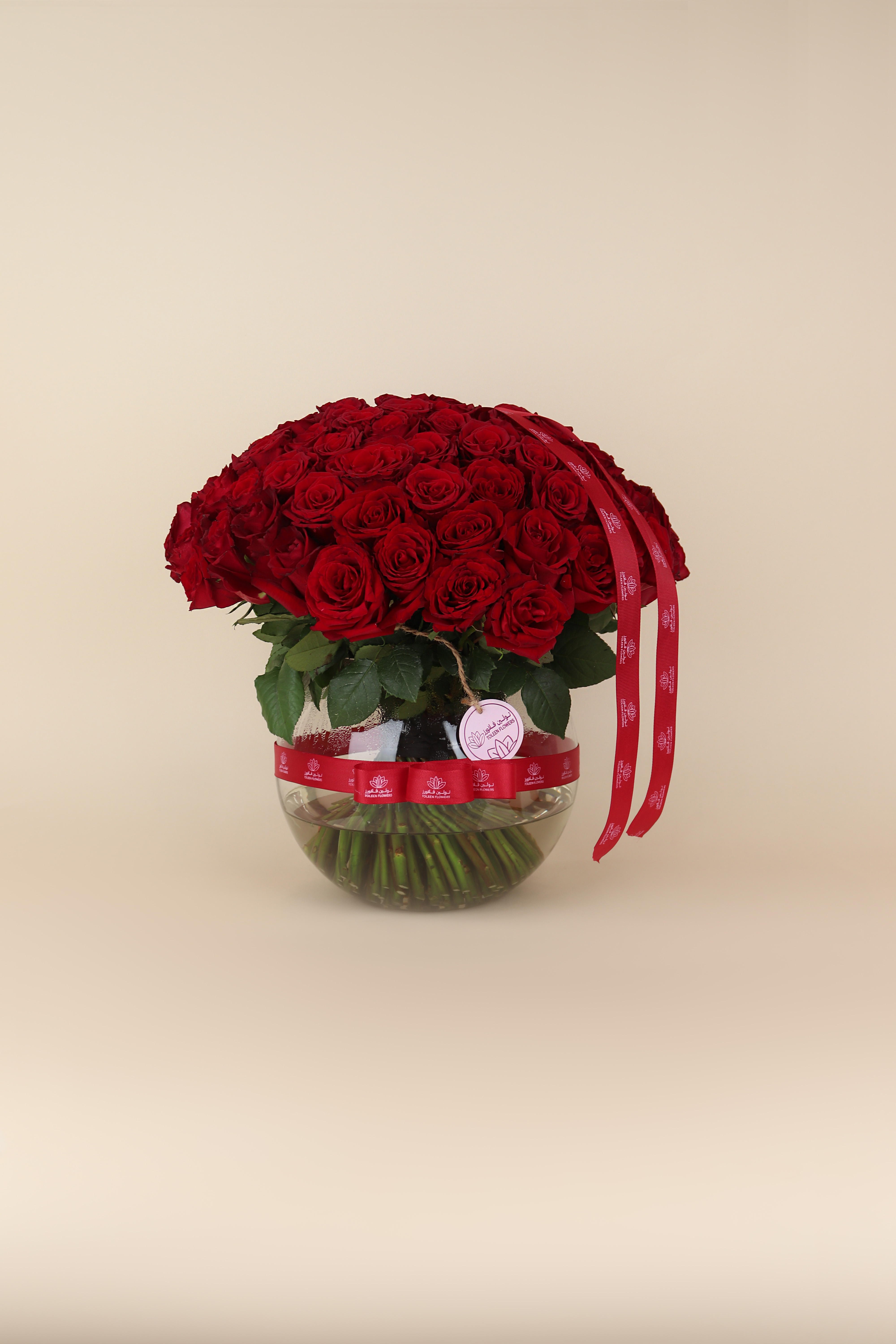  فازة 100 روز أحمر 