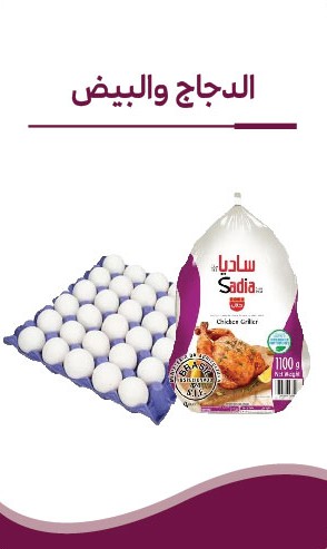 الدجاج
