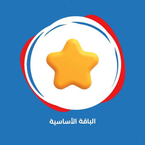 تأسيس وتصميم وبرمجة المتجر الالكتروني على منصة زد او سلة (الباقة الأساسية)