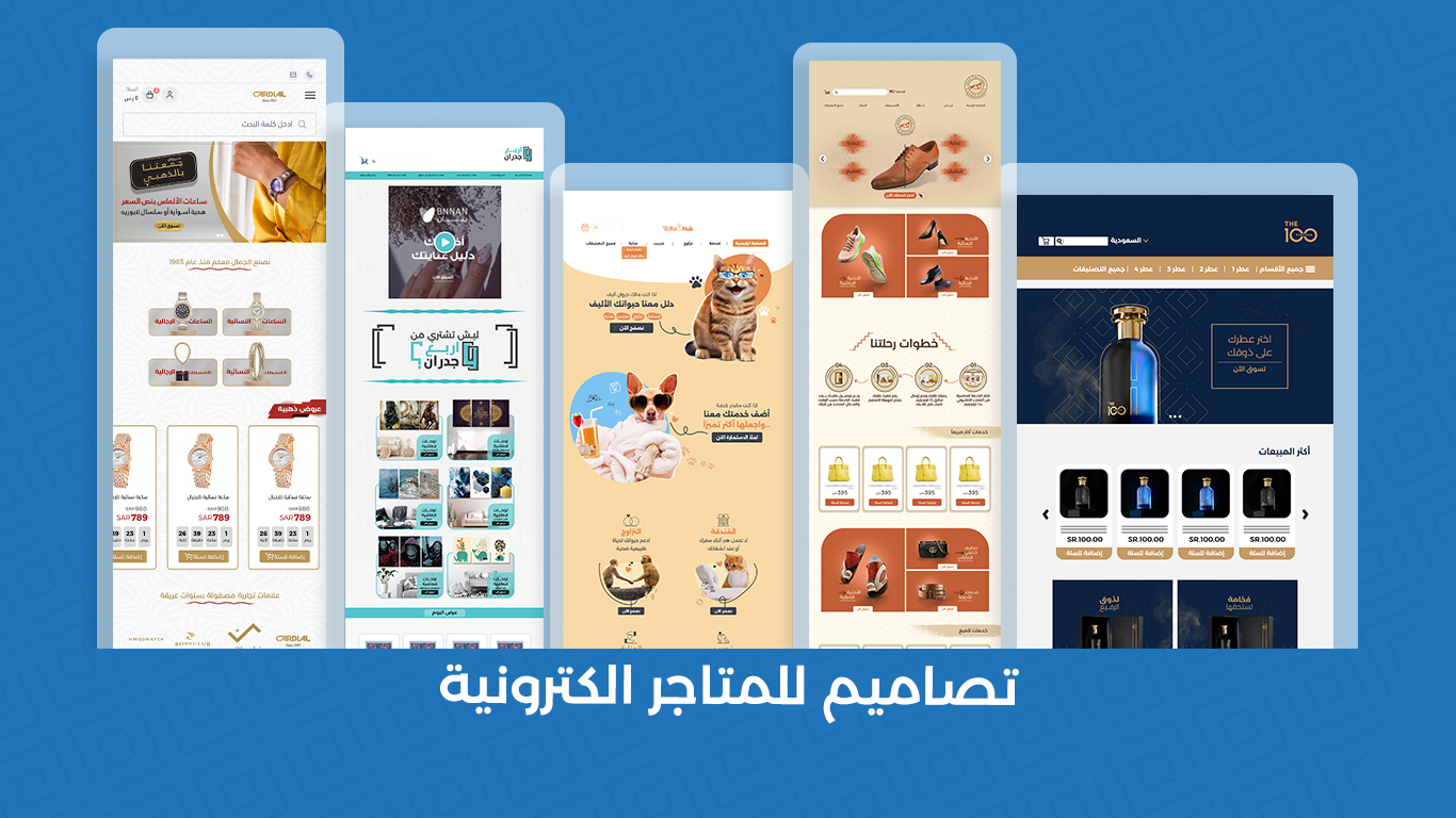 تأسيس وتصميم وبرمجة المتجر الالكتروني على منصة زد او سلة ( باقة برو )
