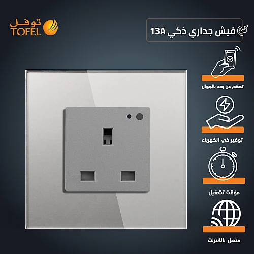  فيش جداري 13 امبير جرافيتي ذكي تحكم عن بعد WiFi سهل الاستخدام يعمل باللمس تحكم بالجوال متوافق مع اليكسا وجوجل هوم توفل 