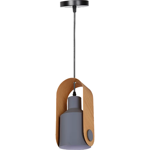  علاقي مودرن رصاصي E27*1L 
