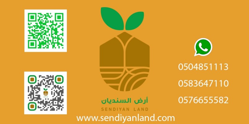 الاستلام في أرض السنديان