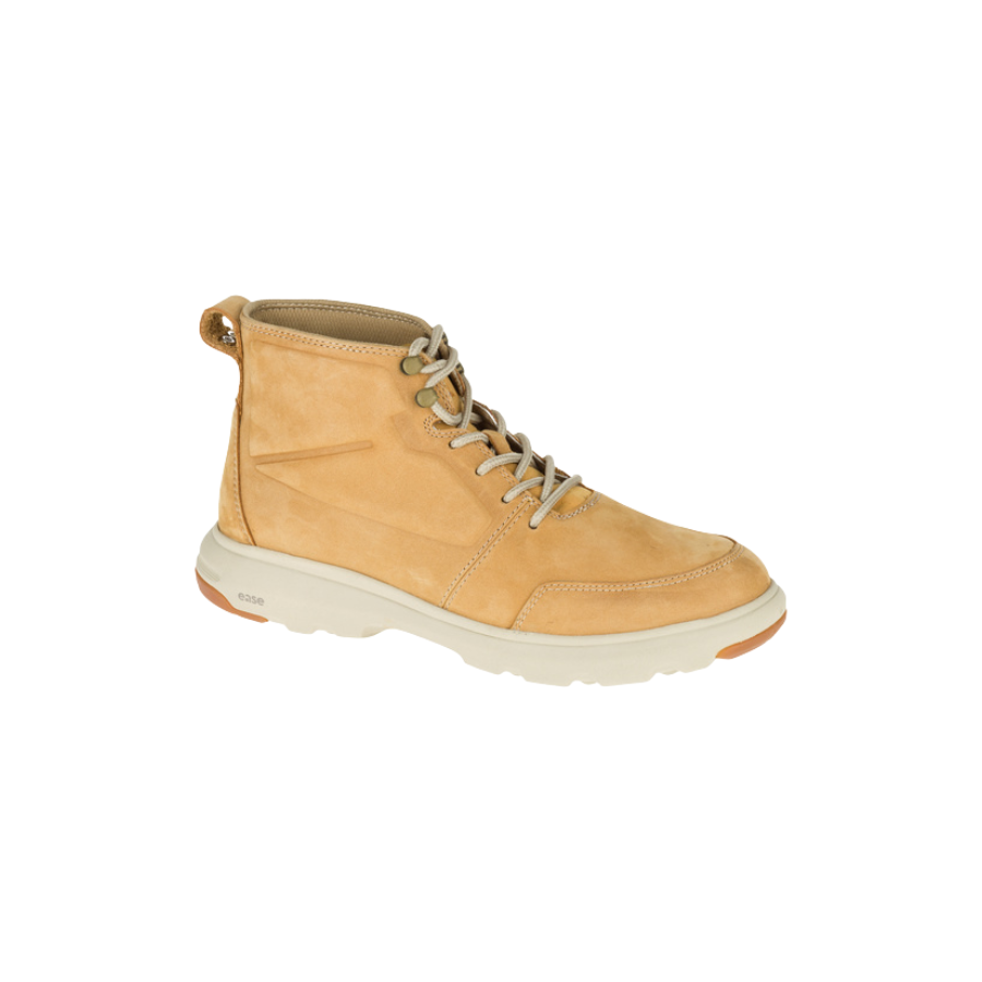 Cat-Faction Shoes For Men