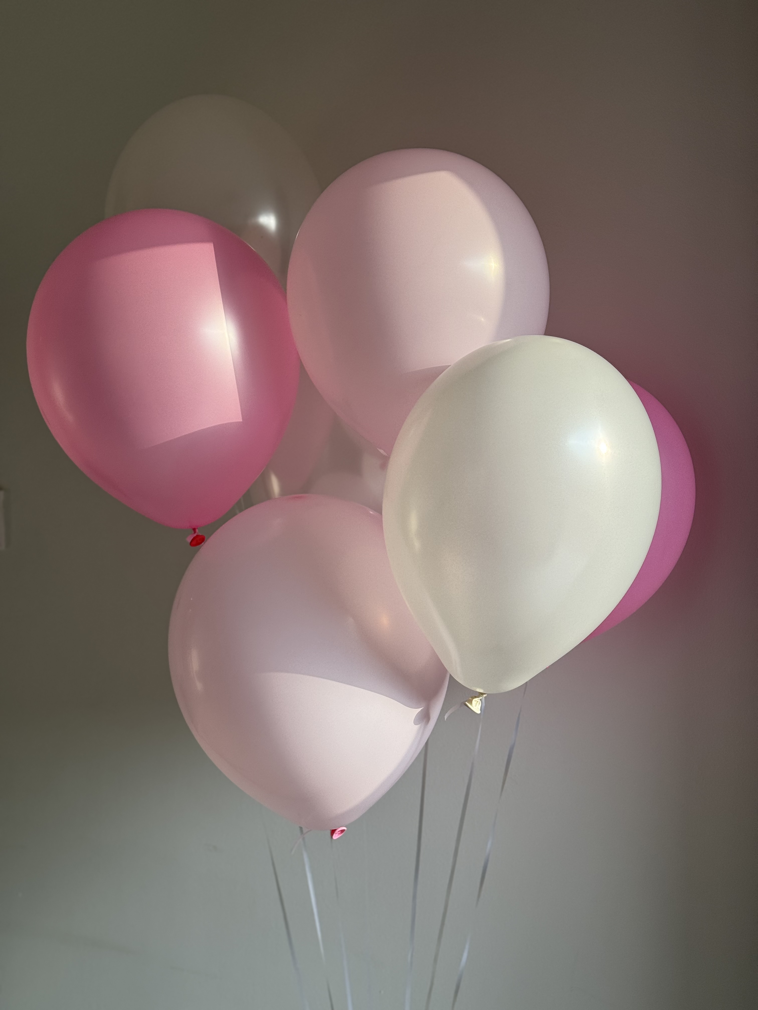 بالون هوليوم 🎈