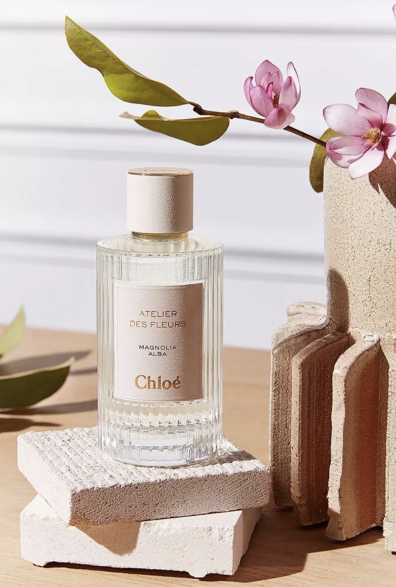 وصف العطر  عطر زهري ناعم وفاخر يتميز برائحة الماغنوليا البيضاء المنعشة مع لمسات بودرية ومسك ناعم تعطي إحساسًا بالنظافة والرقي. العطر هادئ وأنيق ومناسب لمحبي الروائح الأنثوية الراقية والخفيفة