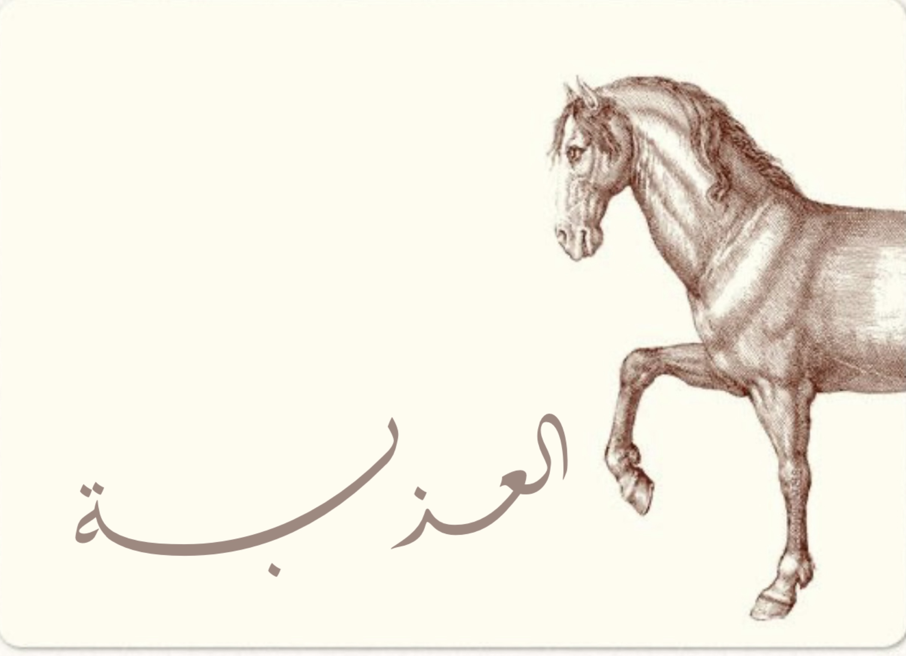 العذبة
