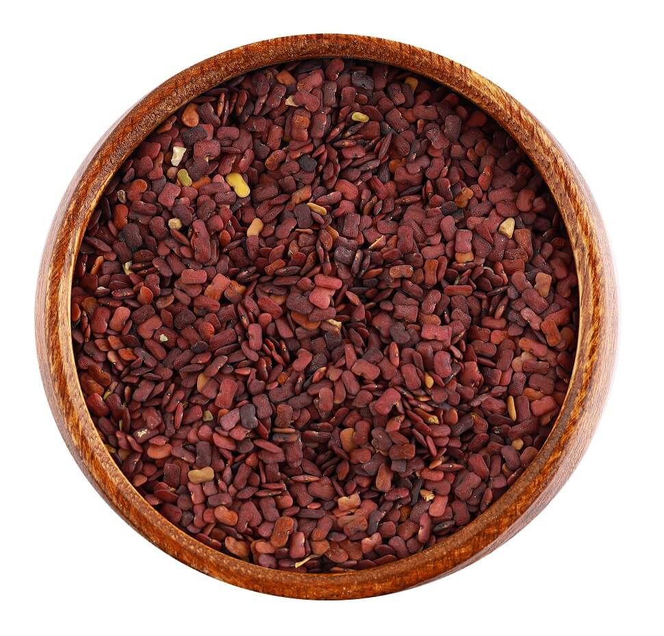 حلبة الخيل الحمراء