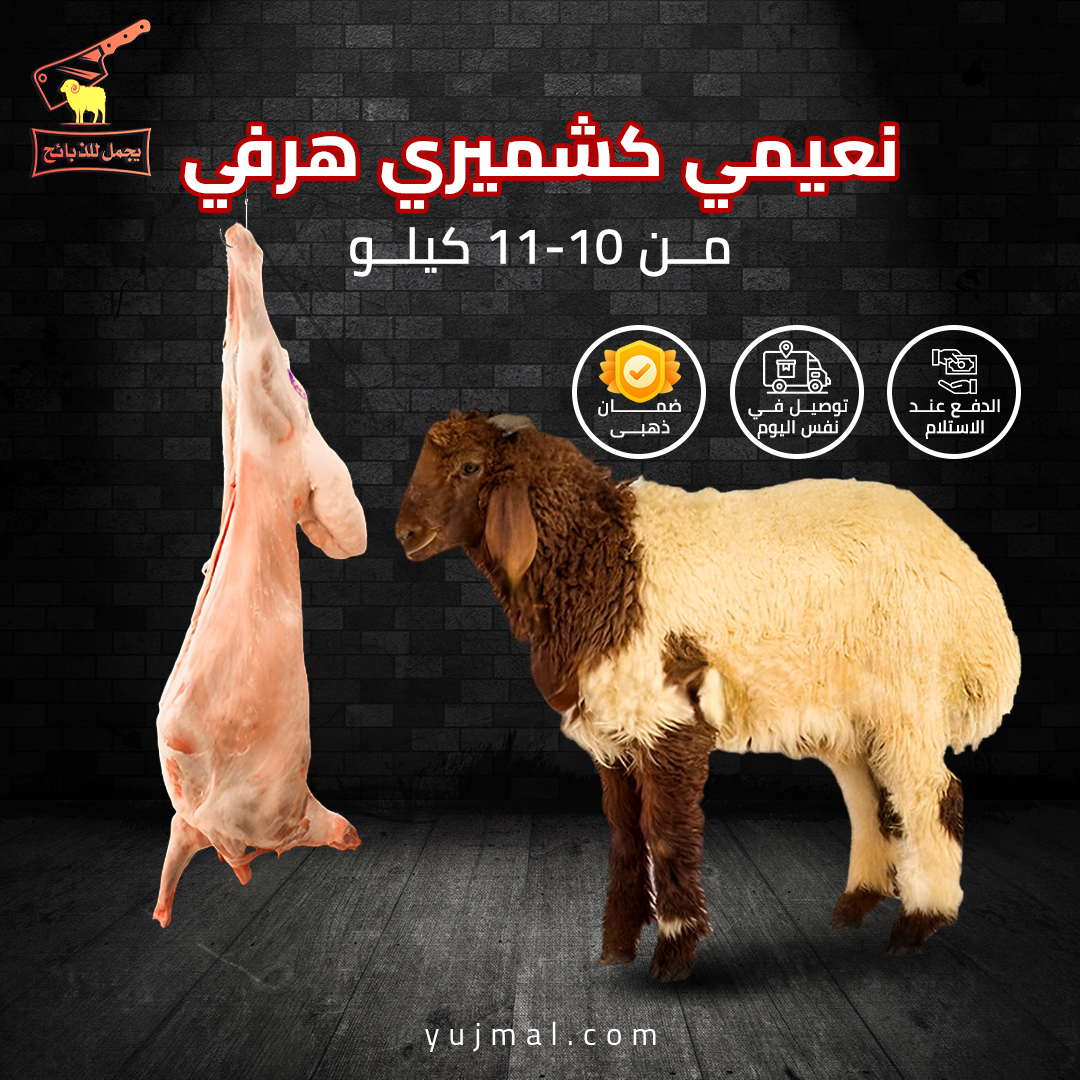 نعيمي خروف