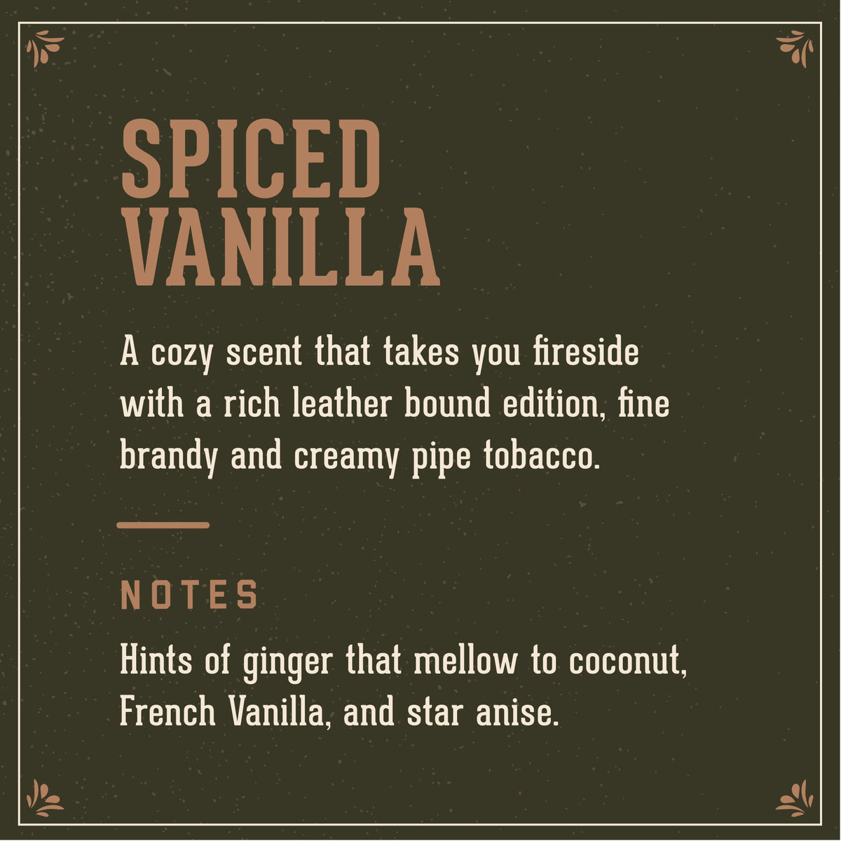  غسول الجسم + شامبو + بلسم للرجال 3 في 1 – Spiced Vanilla 