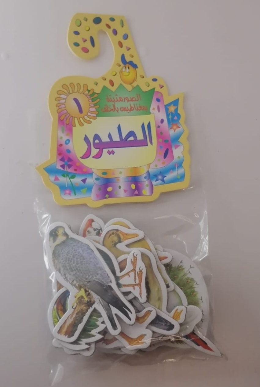 صور مغناطيس الطيور تثبت على السبورة المغناطيس 
