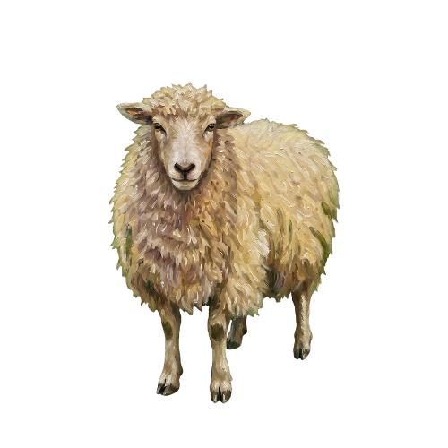 عيد الأضحى