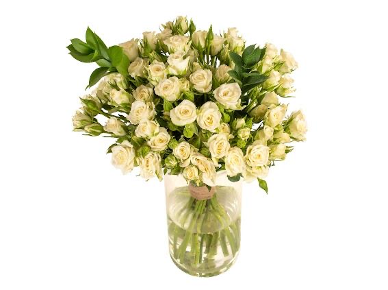 Medium white baby rose bouquet in a vase 