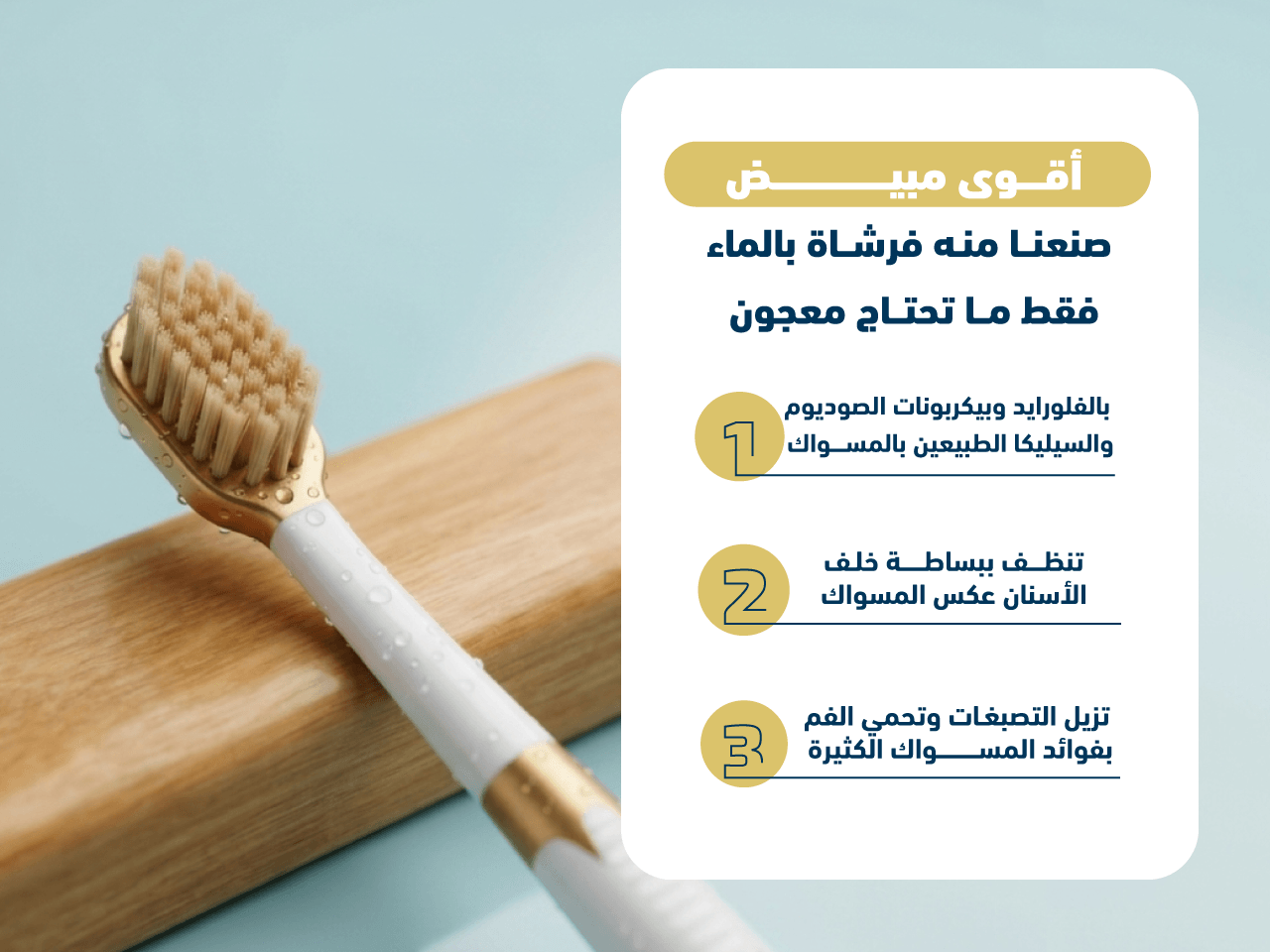 غرافيك فخم محاط بإطار ذهبي يبرز الهيكل المستدام للفرشاة الأيونية وميزة الرؤوس القابلة للتبديل كل 3 أشهر