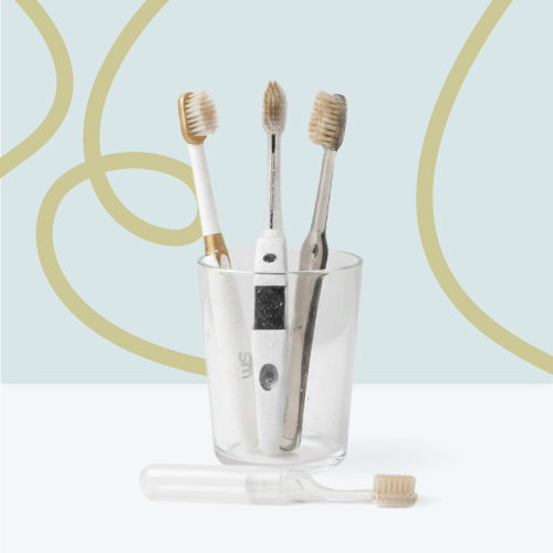 Adult Miswak Brushes