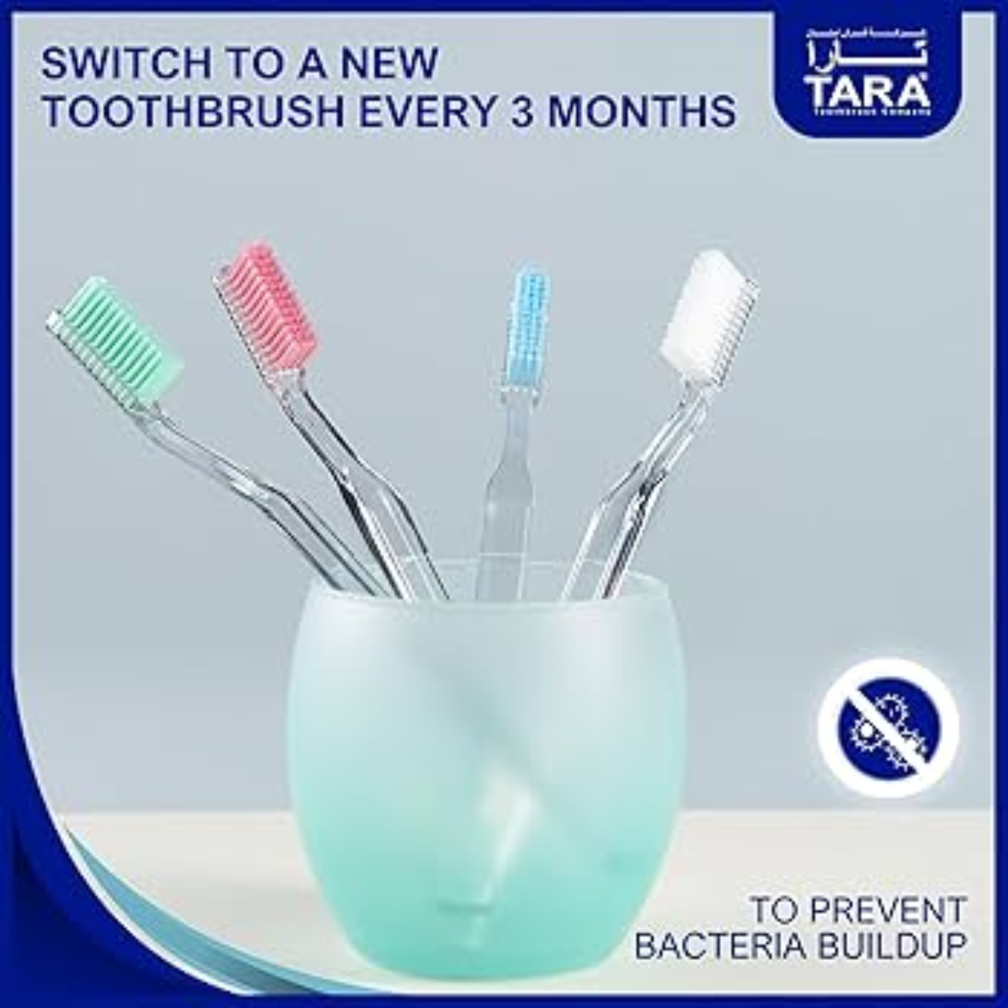 Tara Chic Hard Toothbrush - Assorted Colors