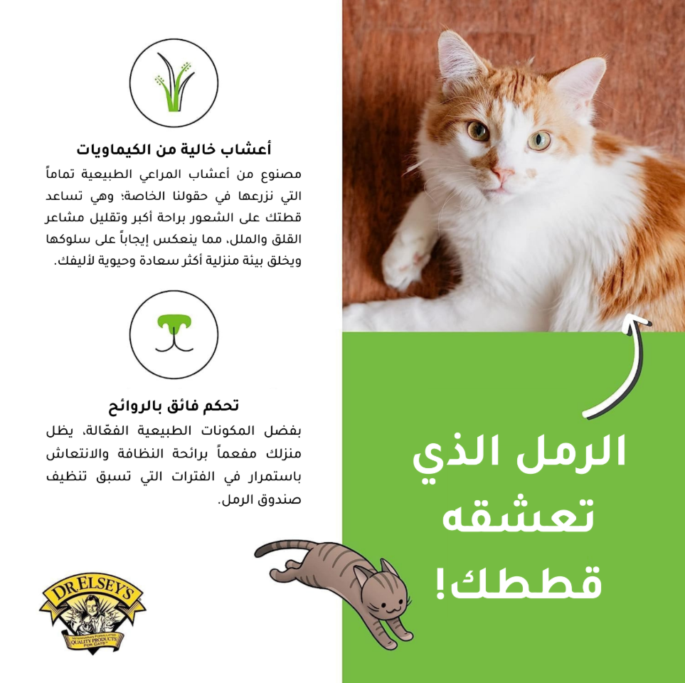 رمل لمسة خارجية ــ د.السيز
