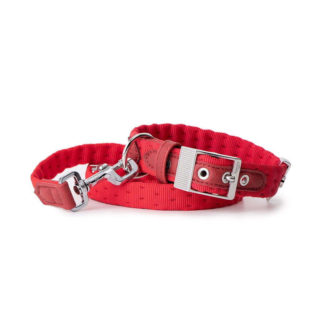 My Family Milan Red Nylon Collar 26 x 1.6 cm